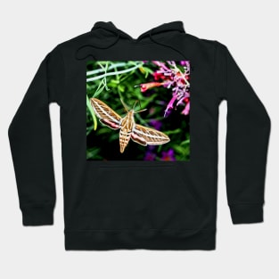 Hummingbird Moth Hoodie